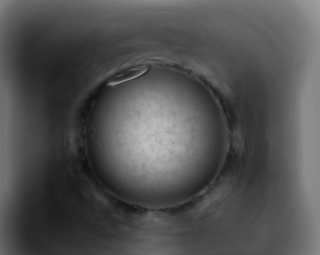 X0000092251496200709211052