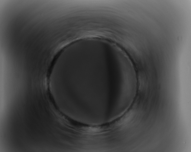 X0000092251497200709211052