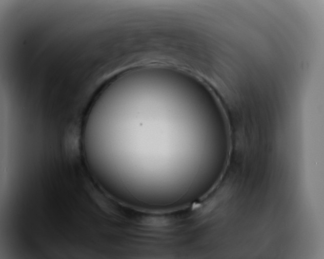 X0000092251499200709211052