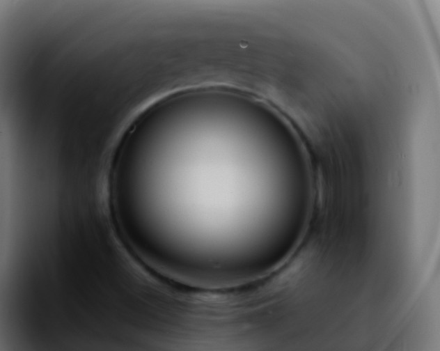 X0000092251500200709211052