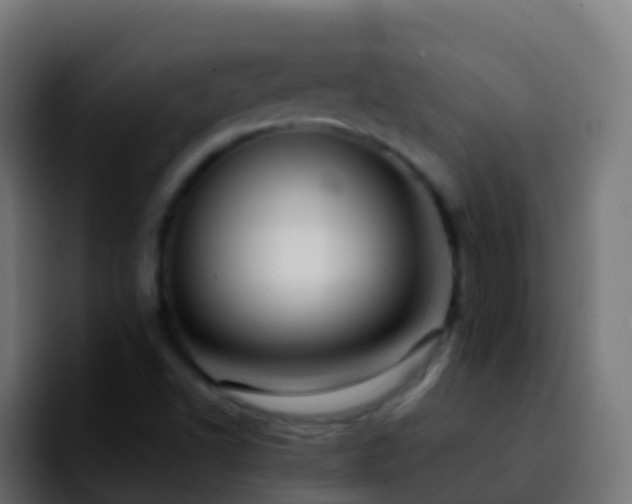 X0000092251502200709211052