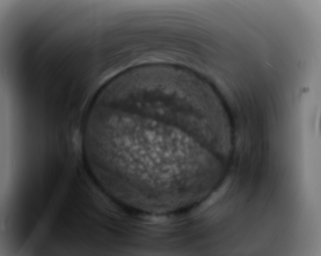 X0000092251505200709211052