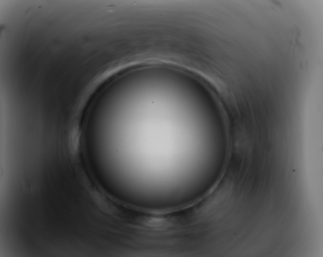 X0000092251507200709211052