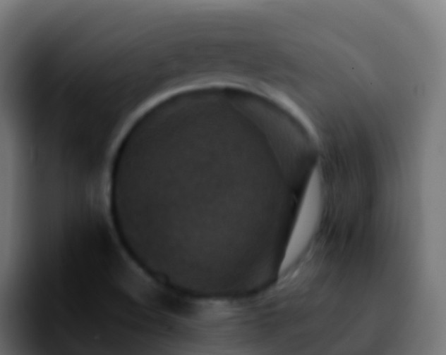 X0000092251508200709211052