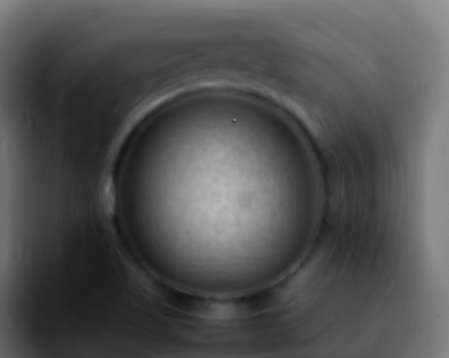 X0000092251509200709211052