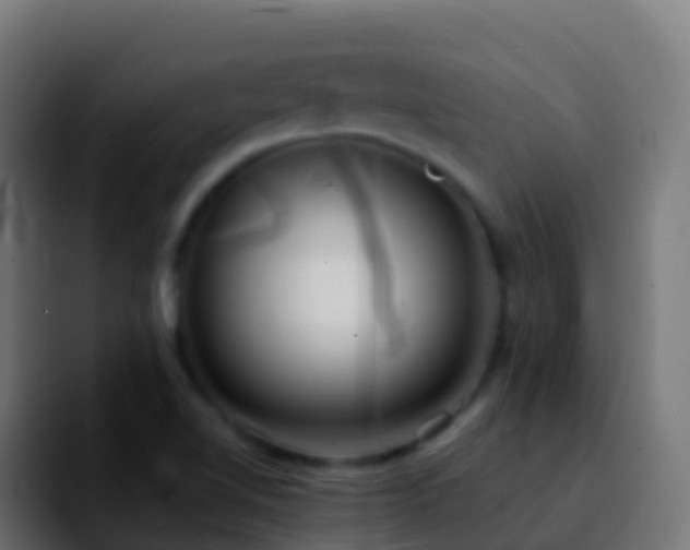 X0000092251510200709211052