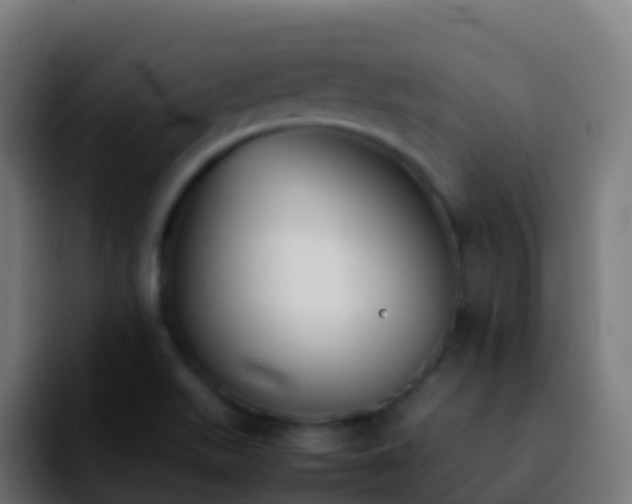 X0000092251511200709211052