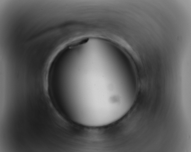 X0000092251512200709211052