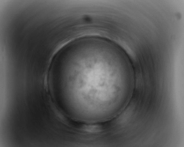 X0000092251513200709211052