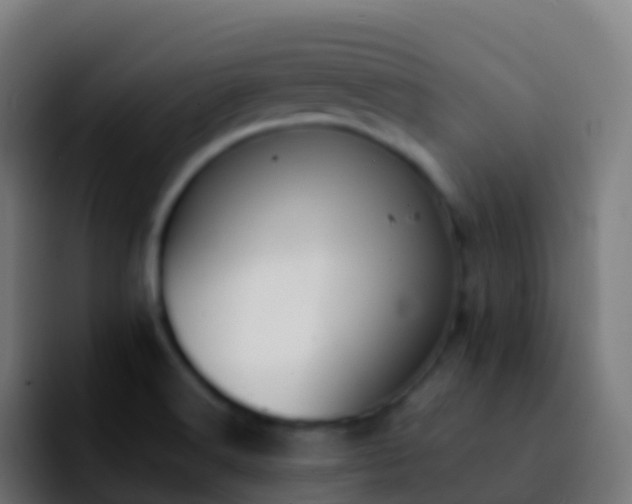X0000092251516200709211052