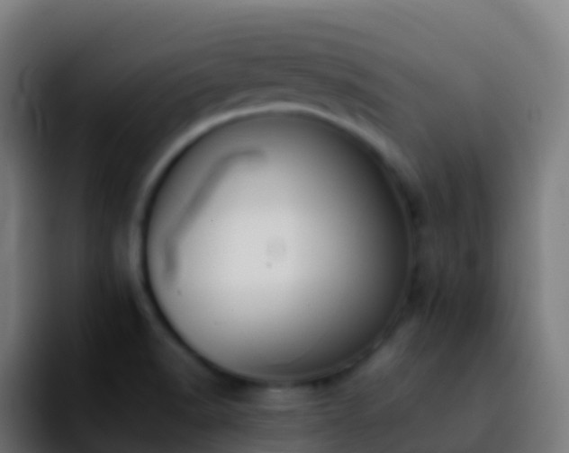 X0000092251518200709211052