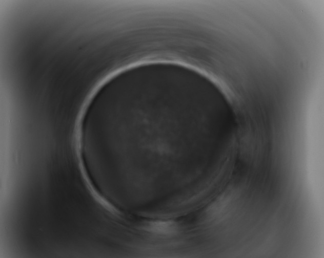 X0000092251519200709211052