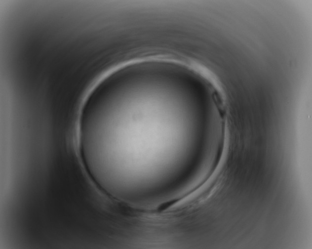 X0000092251520200709211052