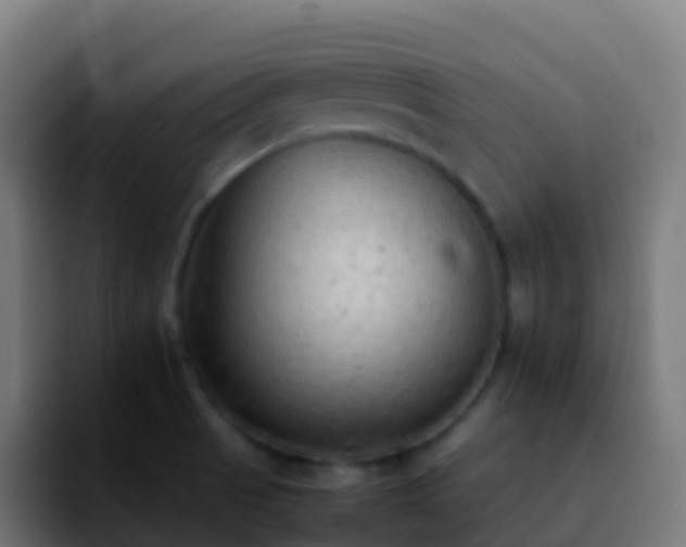X0000092251521200709211052