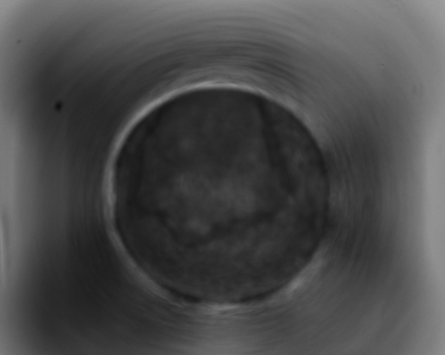 X0000092251522200709211052