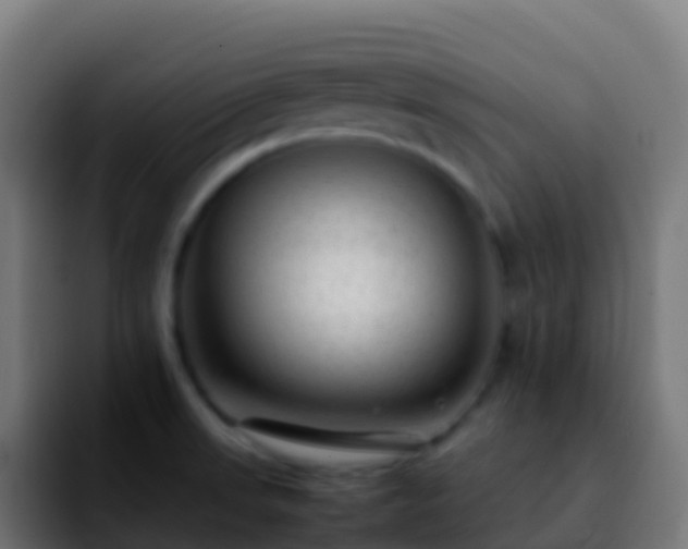 X0000092251523200709211052