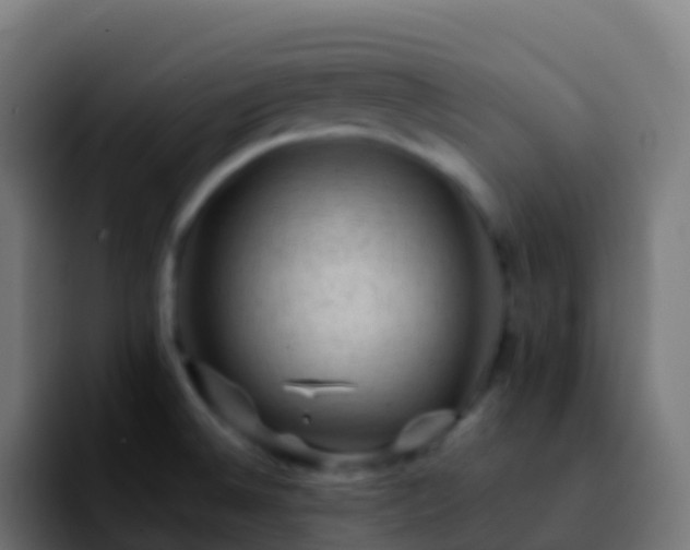 X0000092251524200709211052