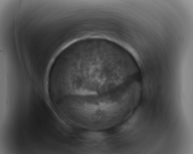 X0000092251525200709211052
