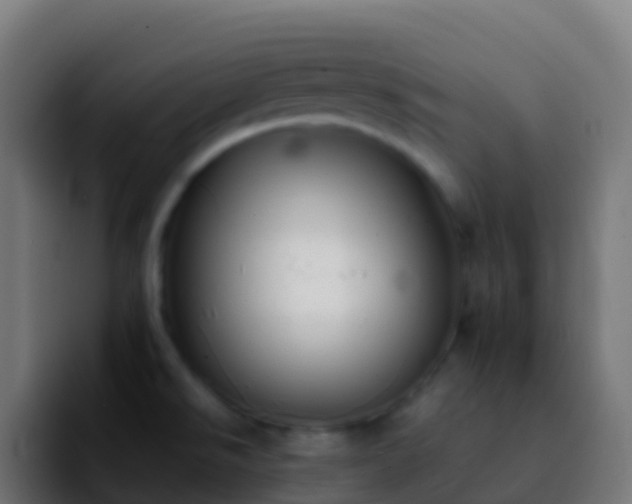 X0000092251526200709211052