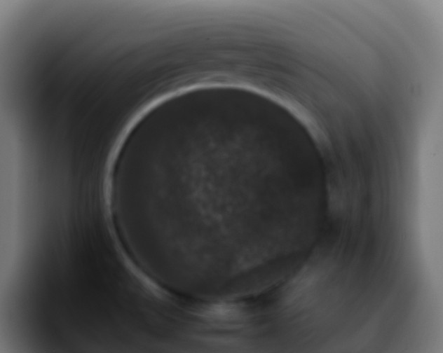 X0000092251527200709211052