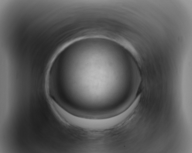 X0000092251528200709211052