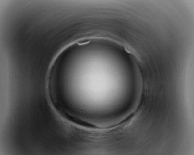 X0000092251530200709211052