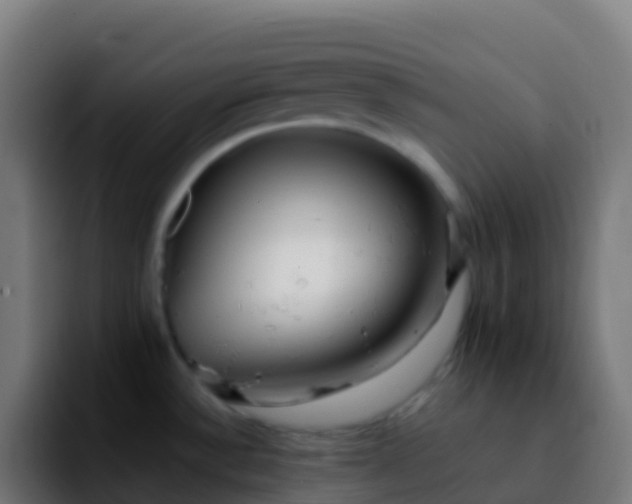 X0000092251532200709211052
