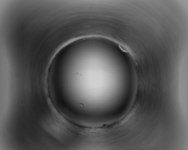 X0000092251534200709211052