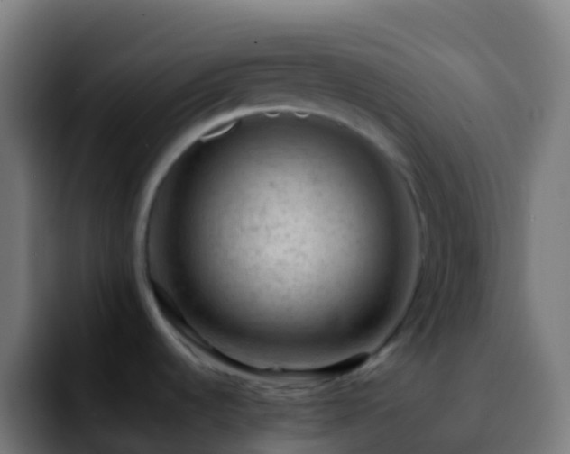 X0000092251536200709211052