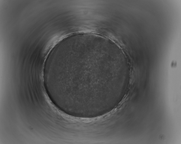 X0000092250002200709281153