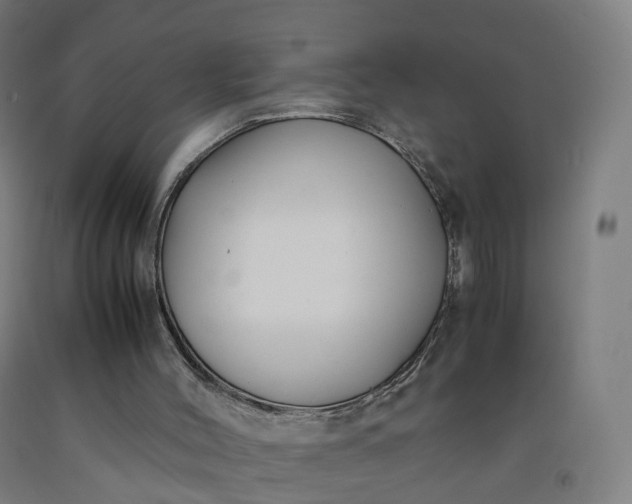 X0000092250004200709281153