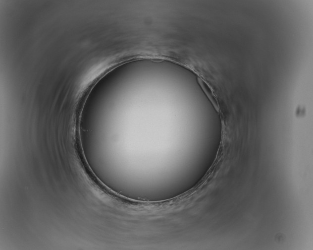 X0000092250005200709281153