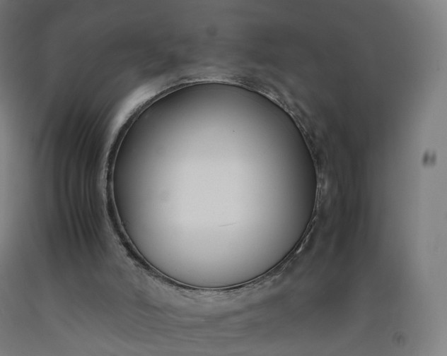 X0000092250006200709281153