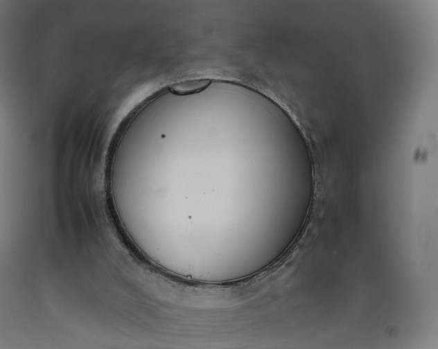 X0000092250008200709281153