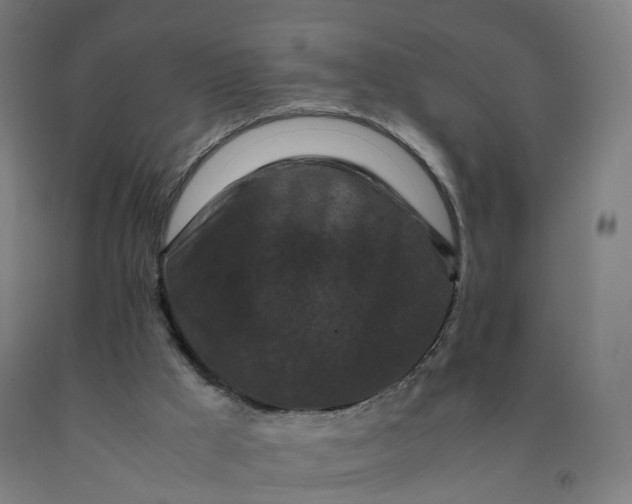 X0000092250009200709281153