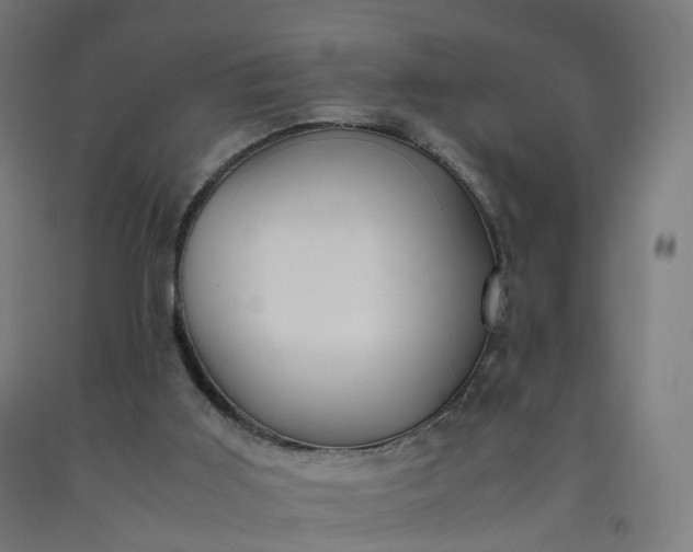 X0000092250011200709281153