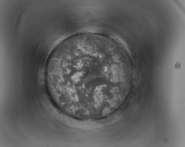 X0000092250012200709281153