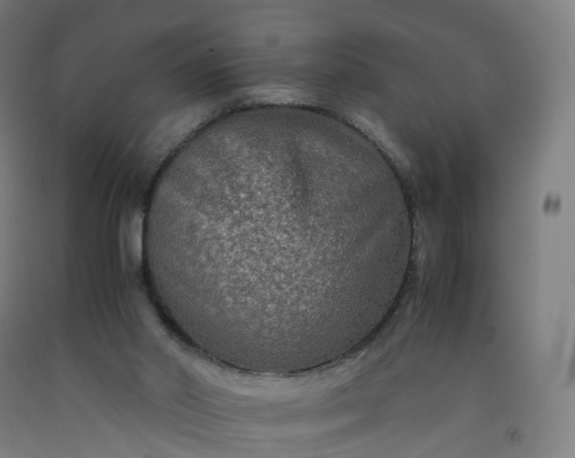 X0000092250014200709281153