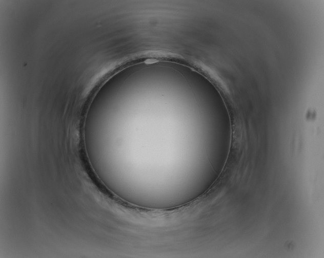 X0000092250015200709281153