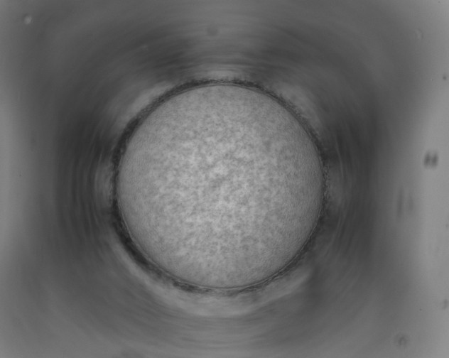 X0000092250016200709281153