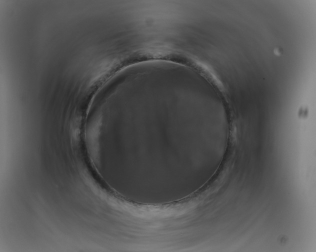 X0000092250018200709281153