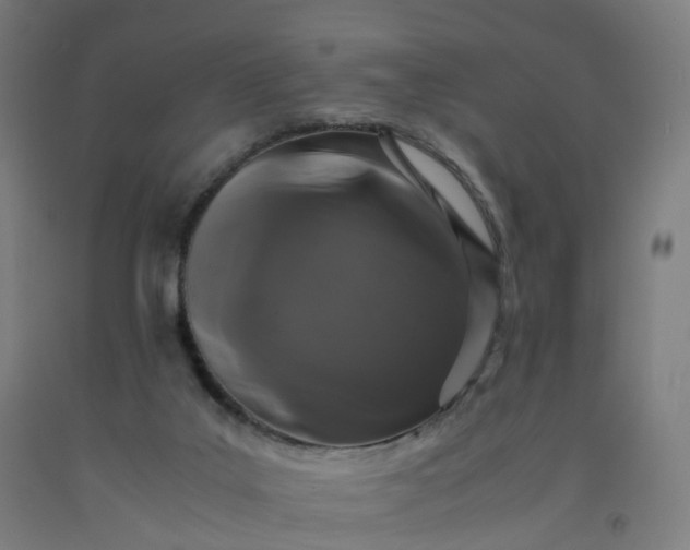 X0000092250019200709281153