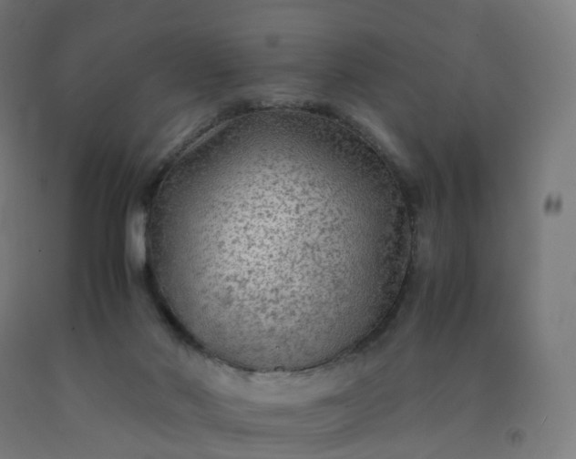 X0000092250022200709281153