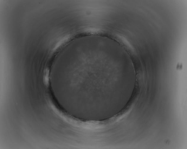 X0000092250024200709281153