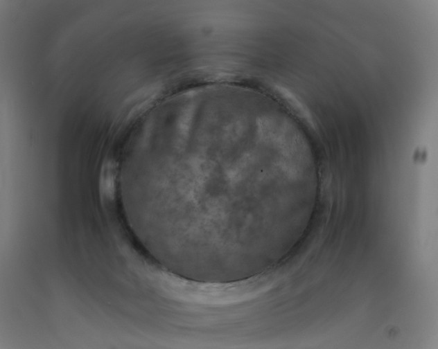 X0000092250026200709281153