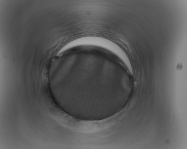 X0000092250029200709281153