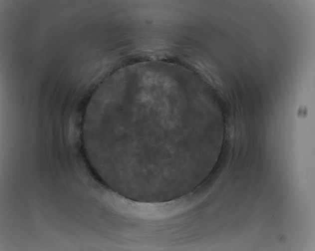 X0000092250030200709281153