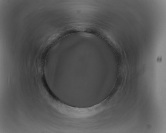 X0000092250031200709281153