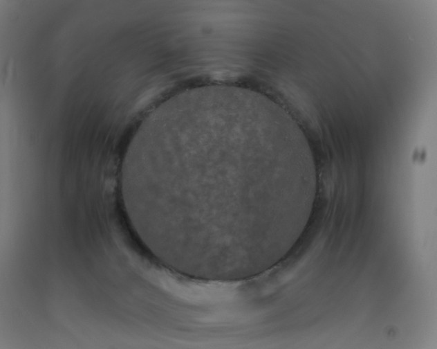 X0000092250032200709281153