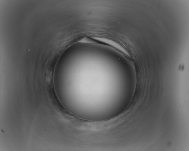 X0000092250033200709281153